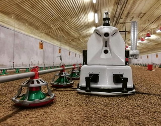 До 2025 року 20-30% фермерських господарств у світі працюватимуть із роботами